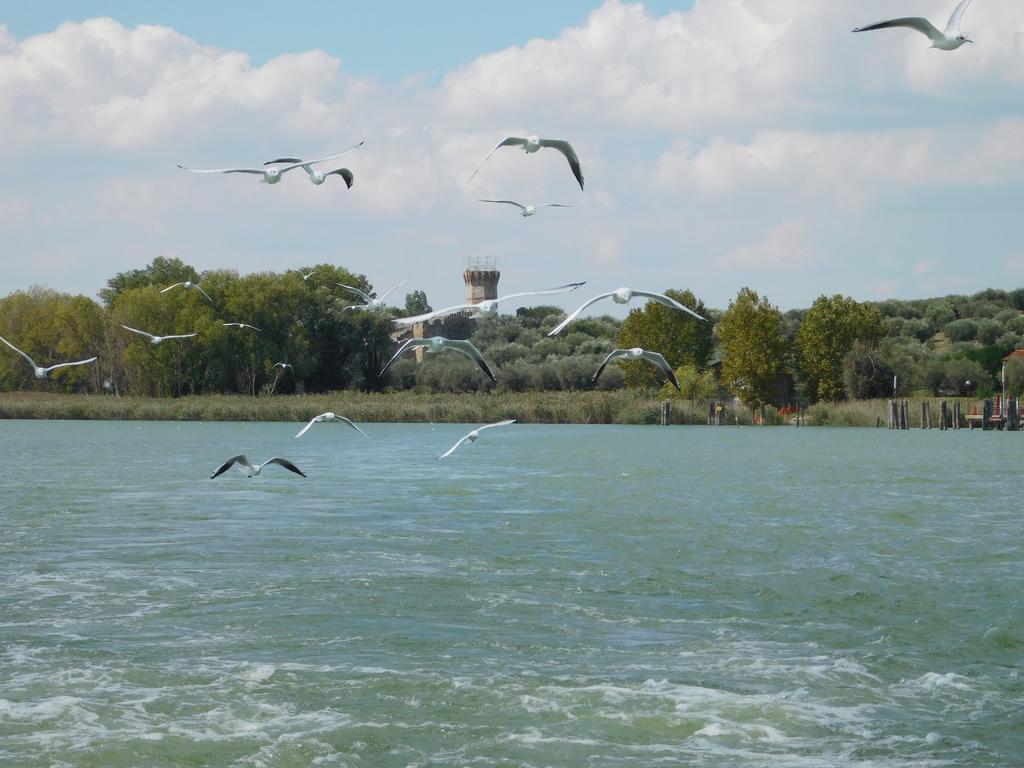 Casavacanza Borgo Cenaioli Tra Toscana E Umbria Lago Trasimeno SantʼArcangelo Extérieur photo