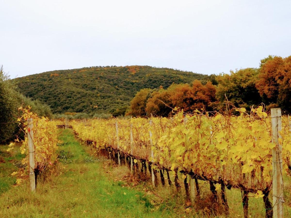 Casavacanza Borgo Cenaioli Tra Toscana E Umbria Lago Trasimeno SantʼArcangelo Extérieur photo